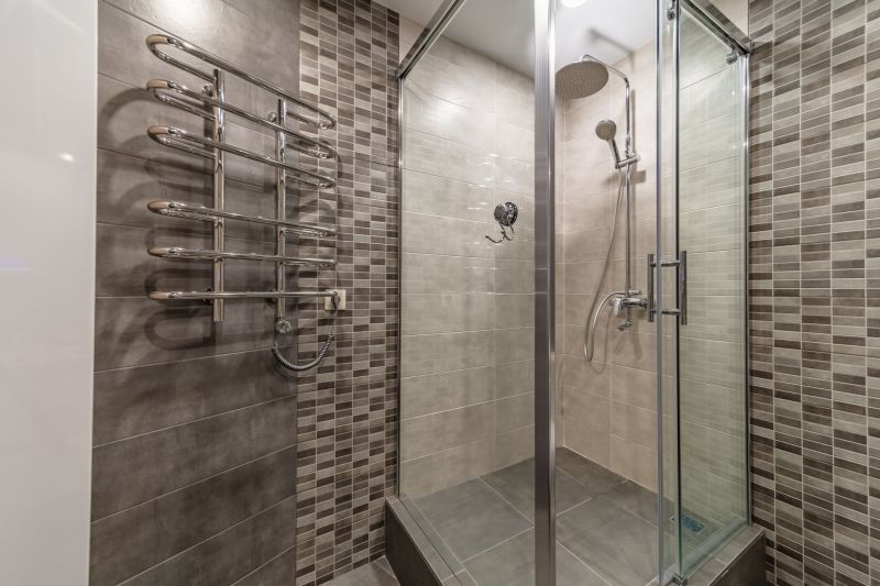 Sophisticated Shower Area